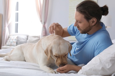 Photo of Adorable yellow labrador retriever with owner on bed indoors