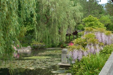 Beautiful view of green plants and pond in park