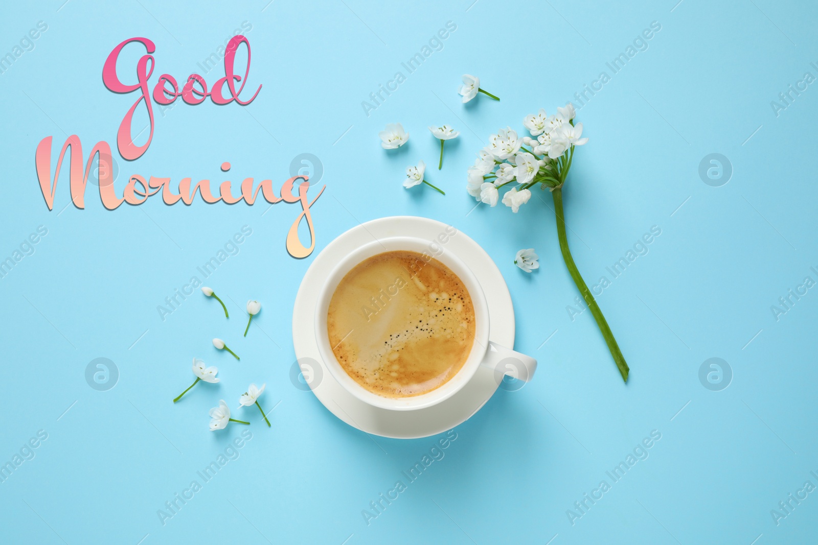Image of White flowers and coffee on light blue background, flat lay. Good morning