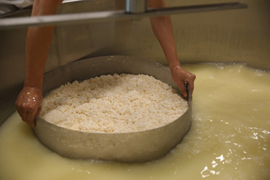 Photo of Worker separating curd from whey in tank at cheese factory, closeup