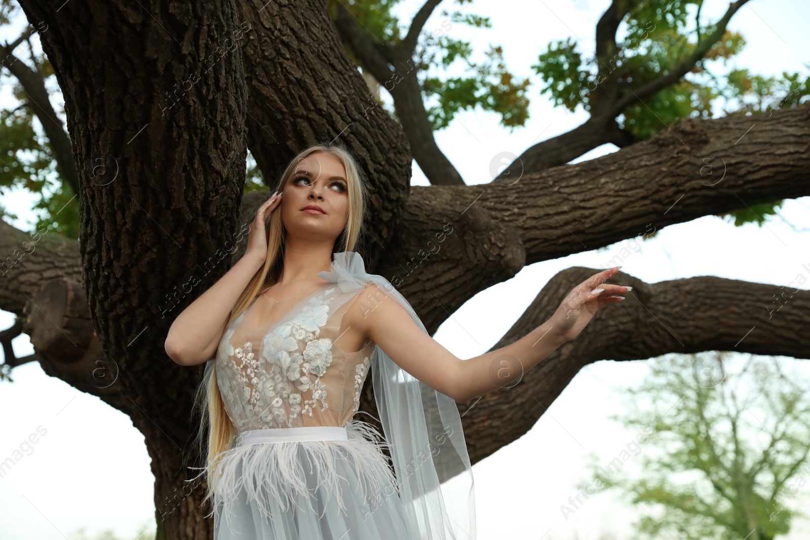 Photo of Beautiful girl wearing fairy dress near tall tree outdoors