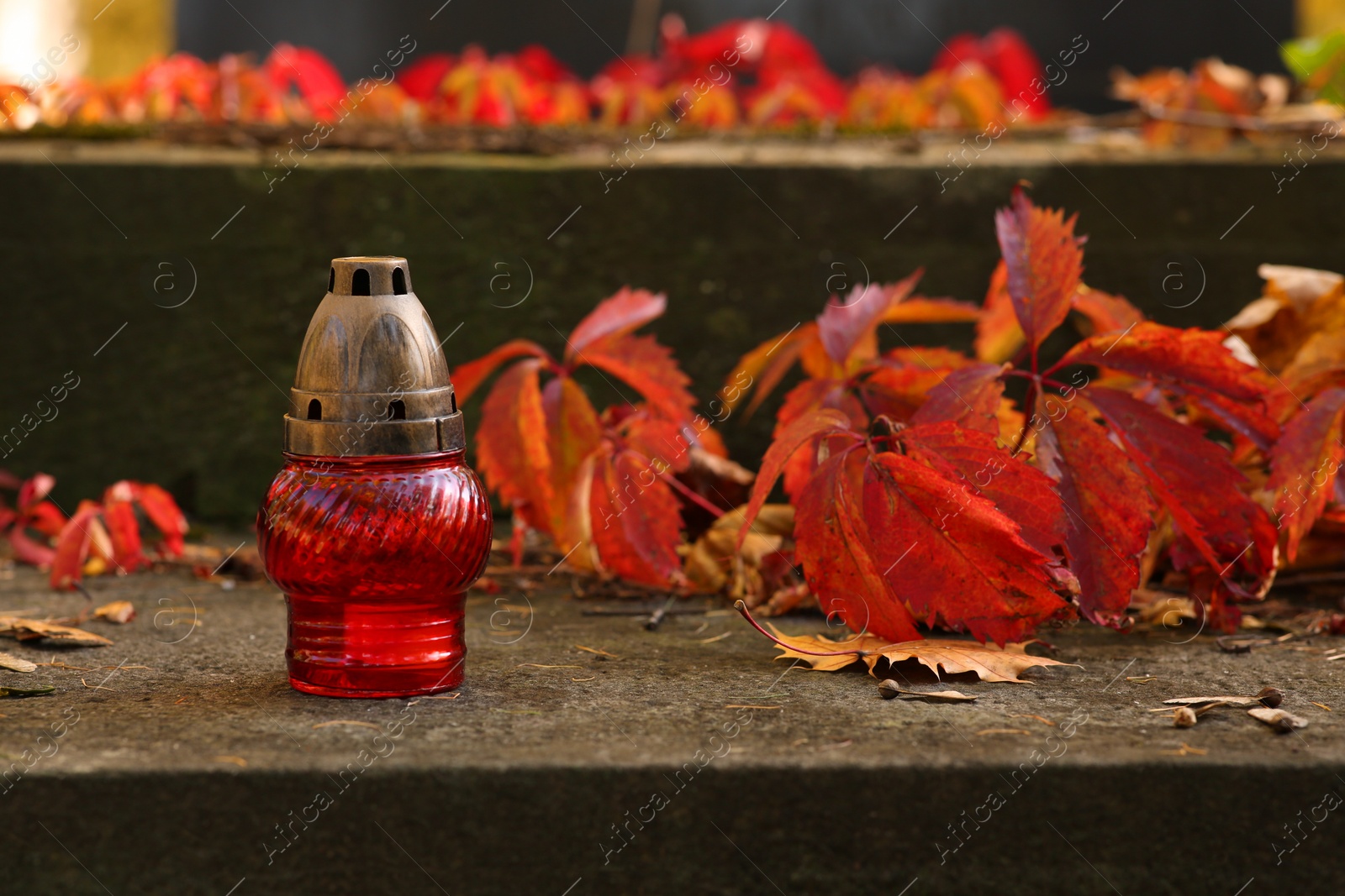 Photo of Red grave lantern and fallen leaves on stone surface in cemetery, space for text