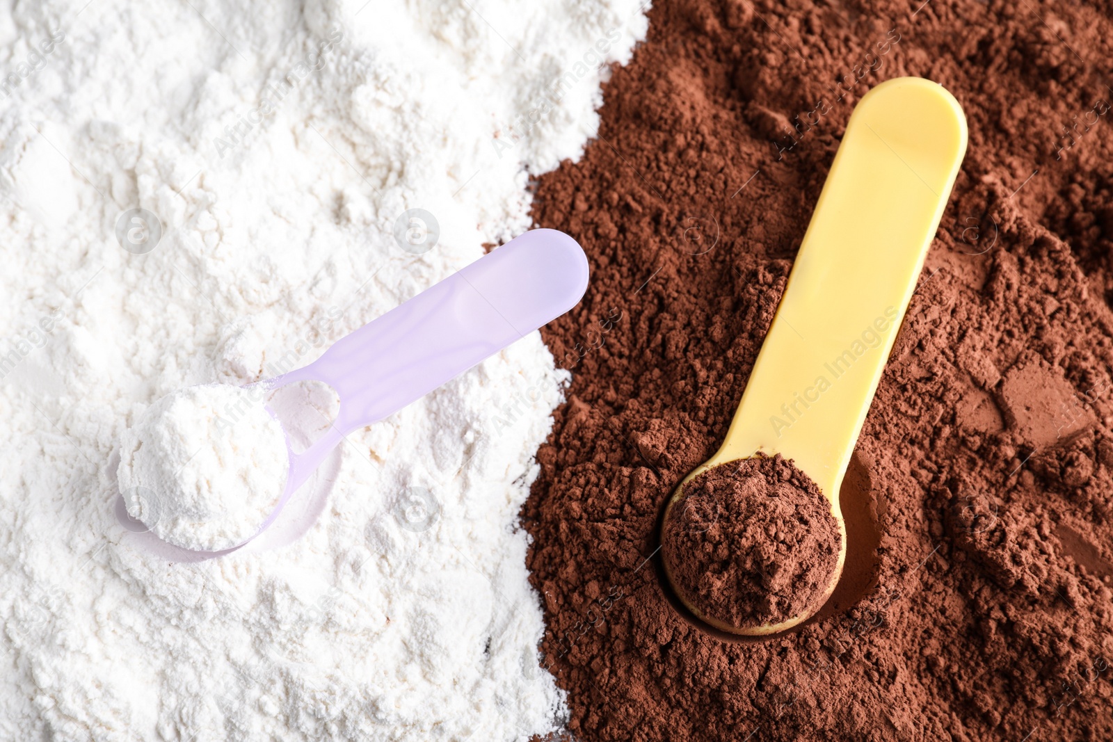 Photo of Scoops of different protein powders, top view