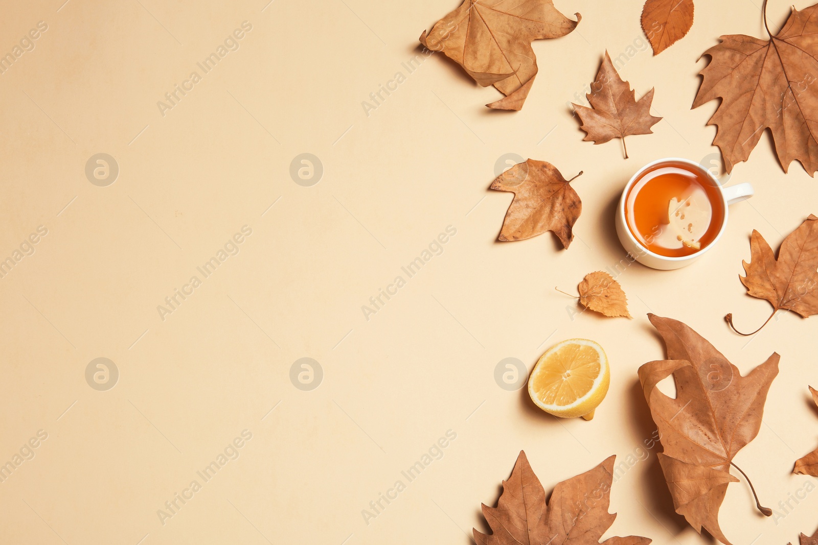 Photo of Flat lay composition with hot cozy drink and autumn leaves on color background. Space for text