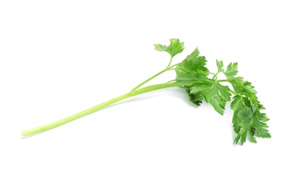 Leaves of fresh tasty parsley on white background