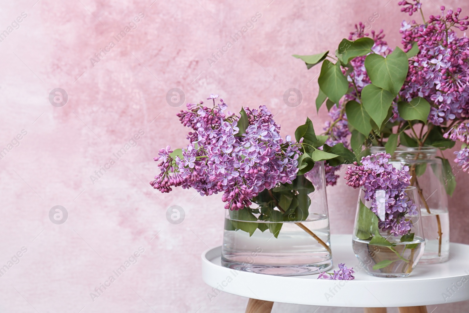 Photo of Vases with beautiful blossoming lilac on table against color background. Spring flowers