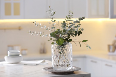 Photo of Beautiful eucalyptus branches on table in modern kitchen. Interior design