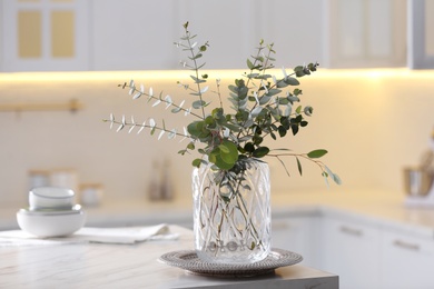 Beautiful eucalyptus branches on table in modern kitchen. Interior design