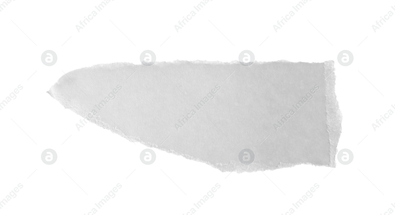 Photo of Piece of paper isolated on white. Space for text