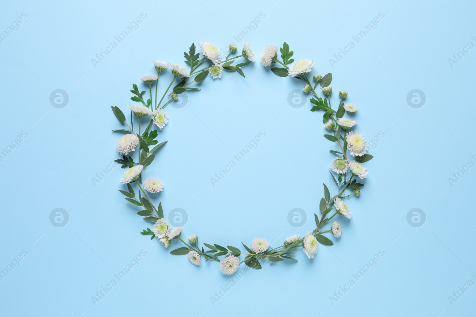 Photo of Wreath made of beautiful flowers and green leaves on light blue background, flat lay. Space for text