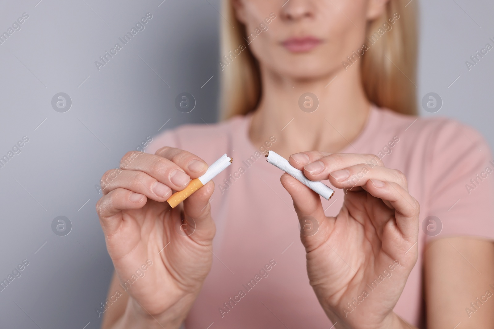 Photo of Woman with broken cigarette on light grey background, closeup. Stop smoking concept