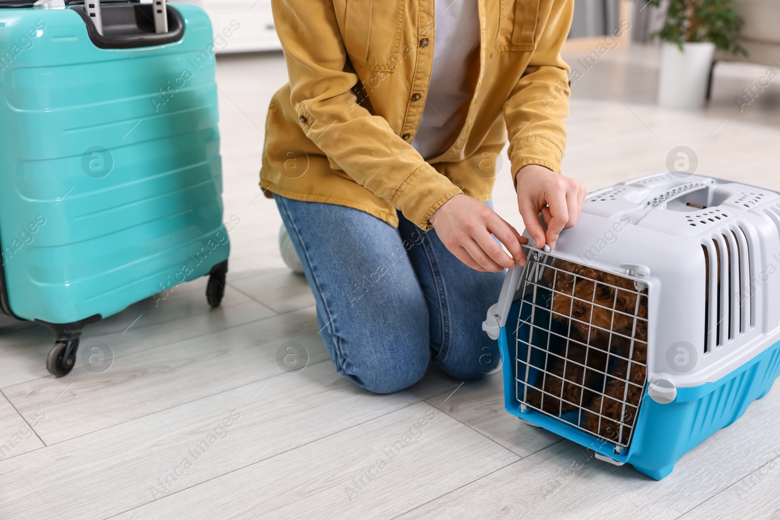 Photo of Woman closing carrier with her pet before travelling indoors, closeup