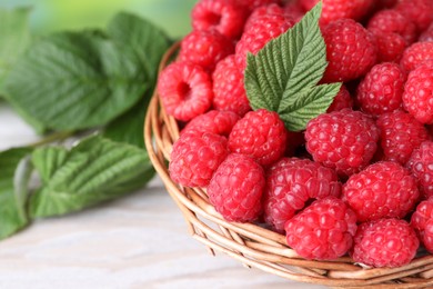 Tasty ripe raspberries and green leaves on light table, closeup