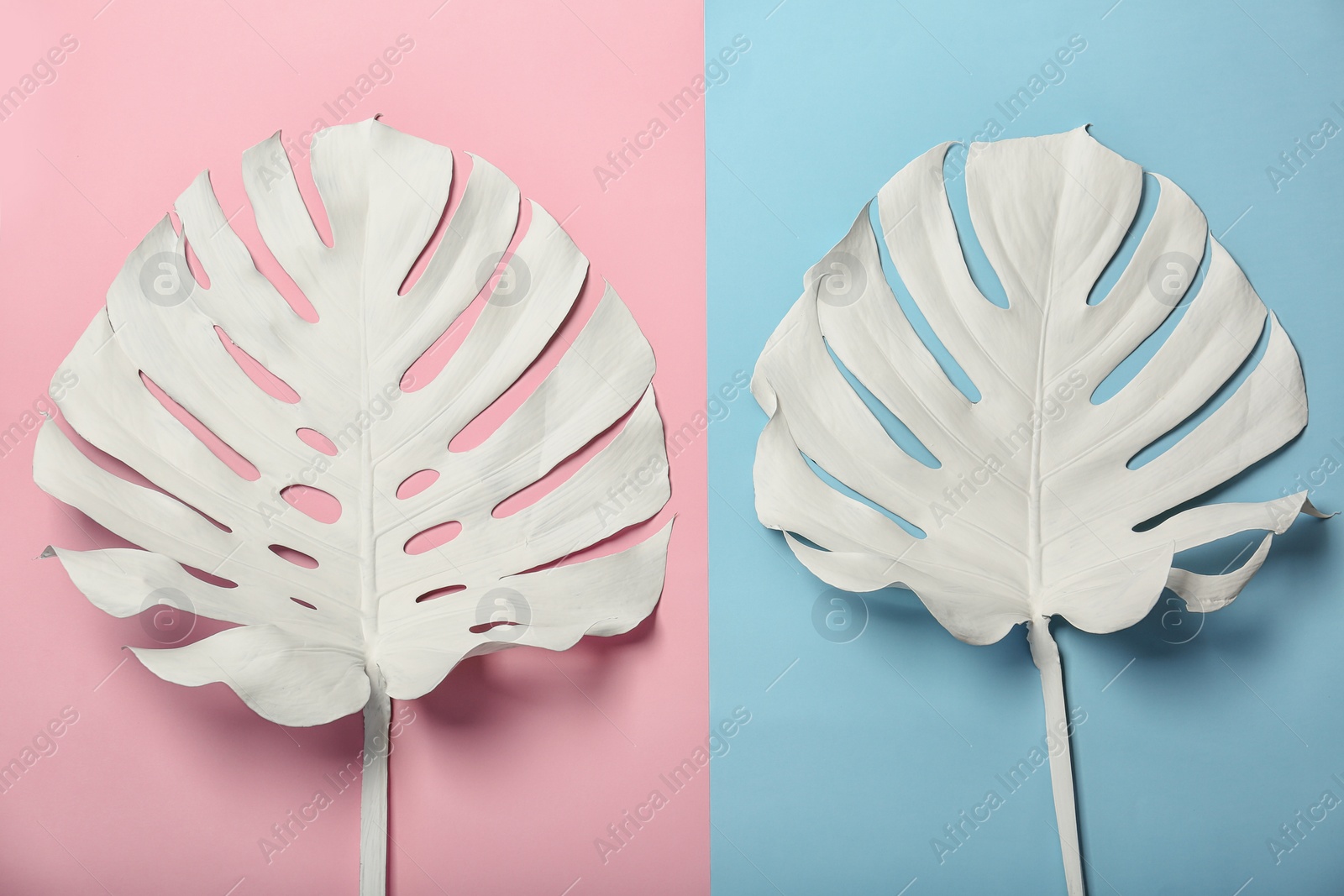 Photo of Painted tropical Monstera leaves on color background, top view