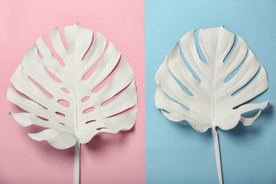 Photo of Painted tropical Monstera leaves on color background, top view