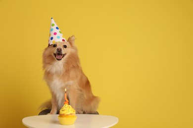 Photo of Cute dog wearing party hat at table with delicious birthday cupcake on yellow background. Space for text