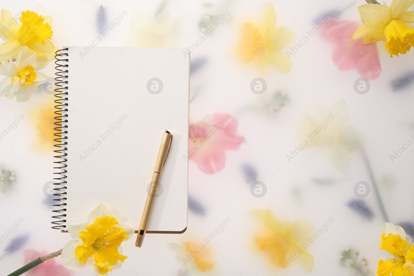 Photo of Guest list. Notebook, pen and daffodils on spring floral background, flat lay. Space for text