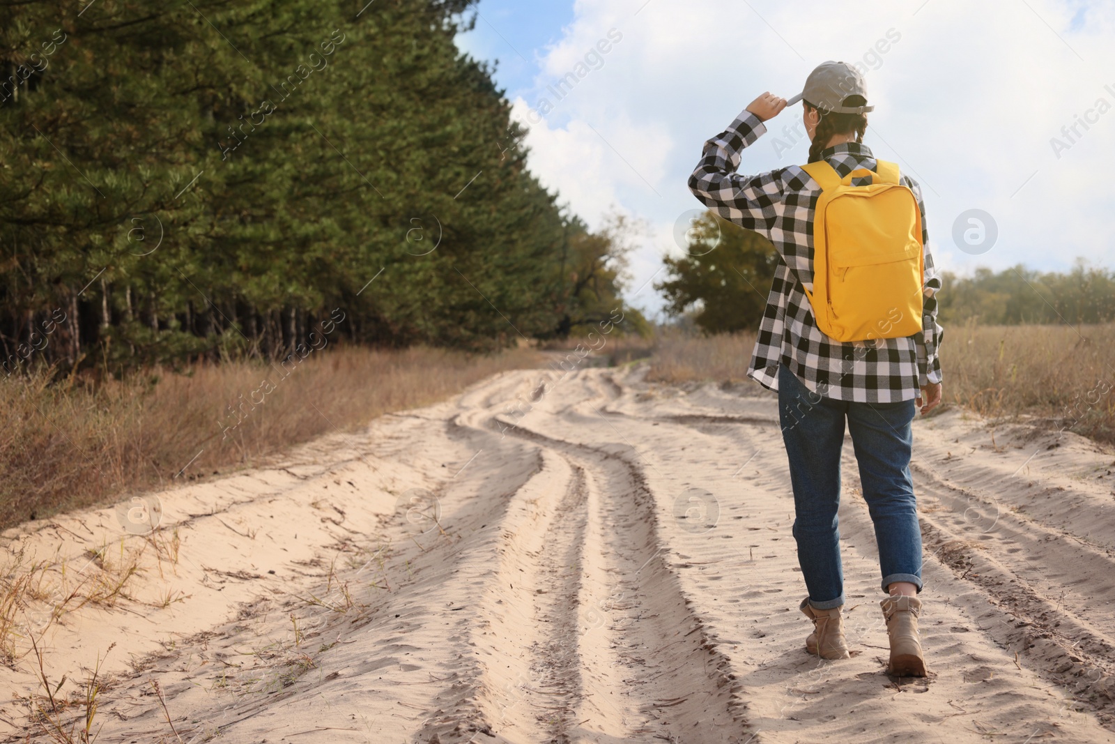 Photo of Young woman with backpack on sandy pathway near forest, back view