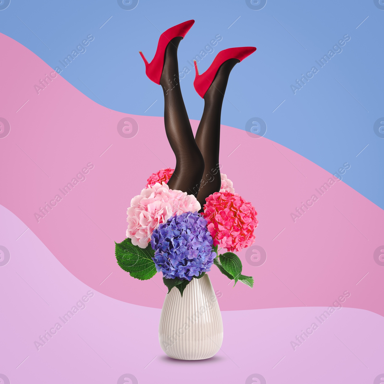 Image of Creative art collage about femininity, style and fashion. Woman sticking out of vase with amazing hydrangea flowers on bright background