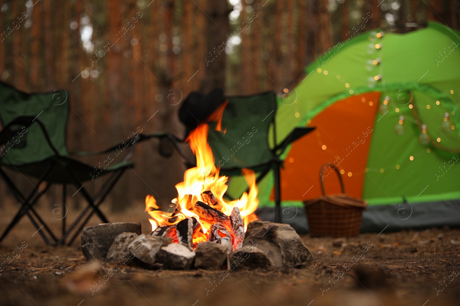 Photo of Beautiful bonfire with burning firewood near camping tent in forest