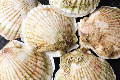 Photo of Fresh raw scallops in shells on black table, above view