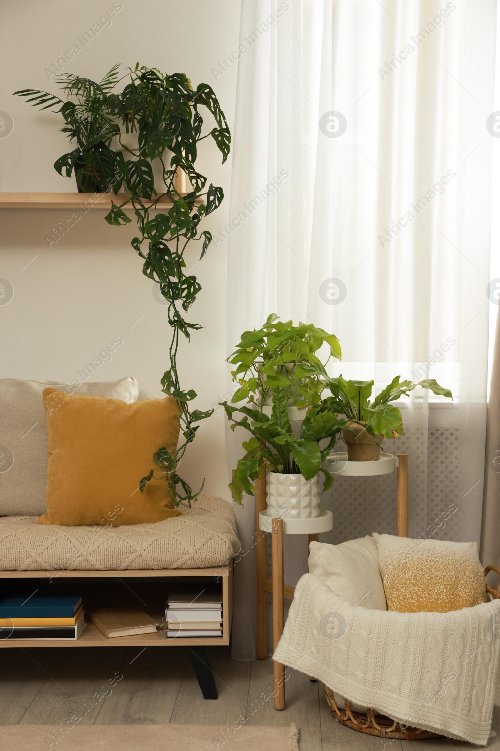 Photo of Stylish room interior with beautiful houseplants and comfortable bench