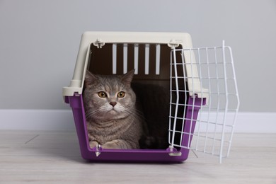 Photo of Travel with pet. Cute cat in carrier on floor near grey wall indoors