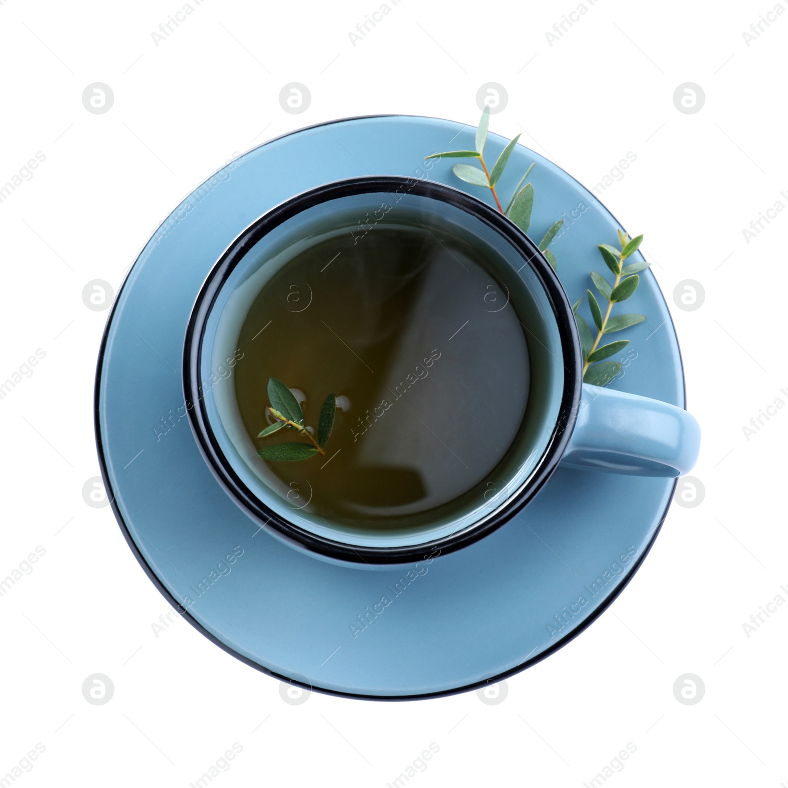 Photo of Cup of green tea with eucalyptus leaves on white background, top view