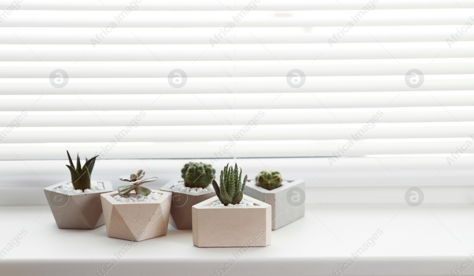 Photo of Window with blinds and potted plants on sill, space for text