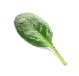 Fresh green leaf of healthy baby spinach on white background