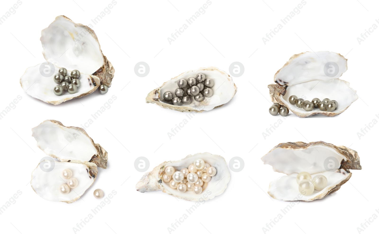 Image of Set with beautiful pearls oyster shells on white background