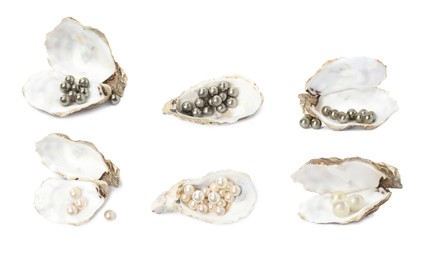 Image of Set with beautiful pearls oyster shells on white background