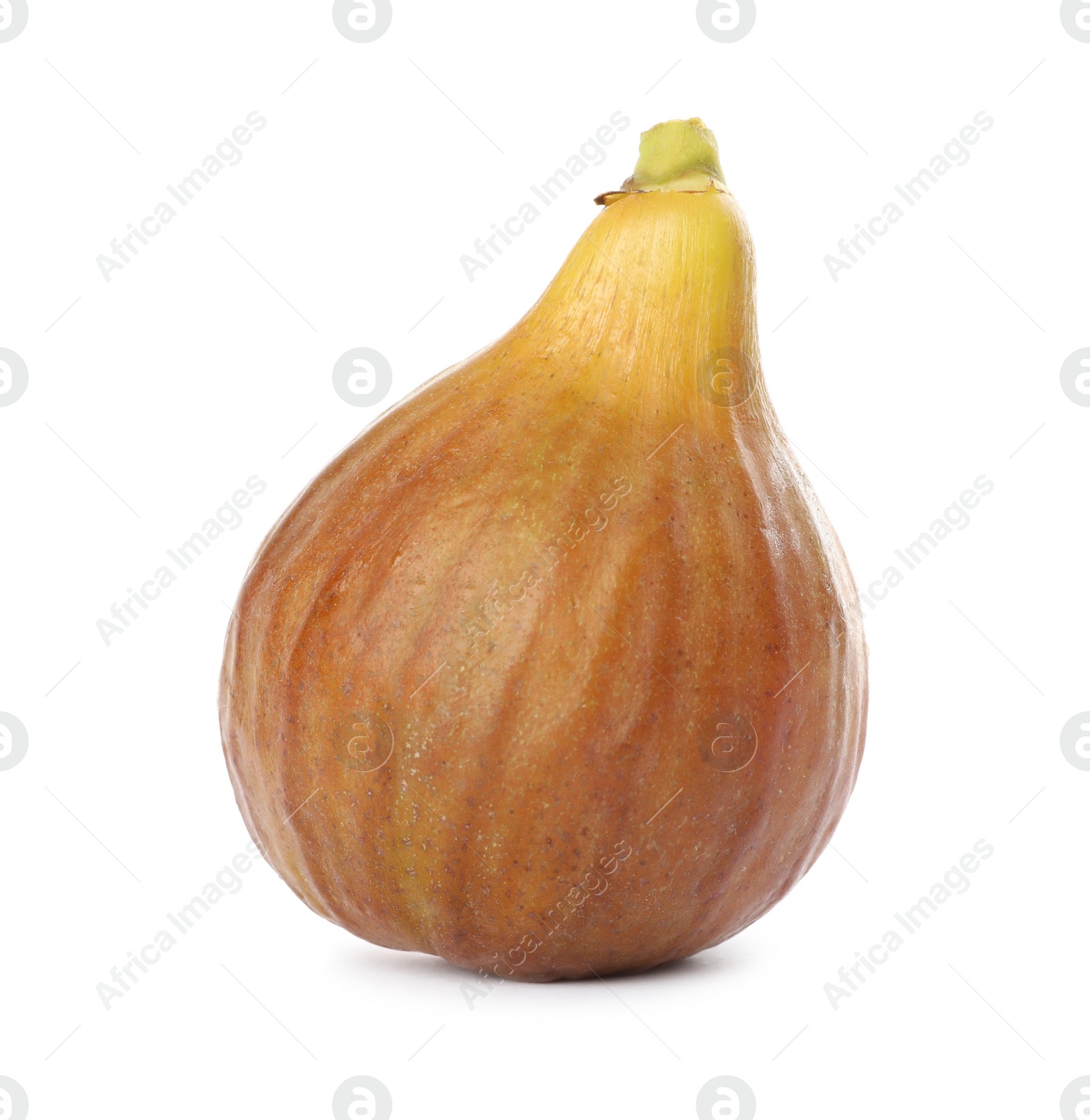 Photo of Whole tasty ripe fig isolated on white