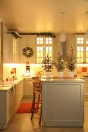 Small Christmas trees and festive decor in kitchen