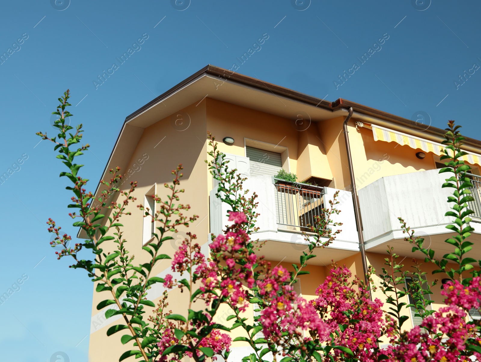 Photo of Modern residential building with beautiful garden in yard, low angle view