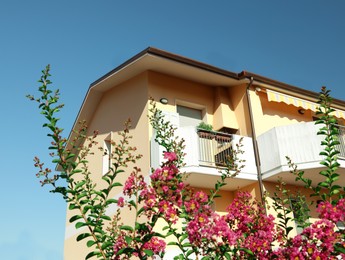 Modern residential building with beautiful garden in yard, low angle view