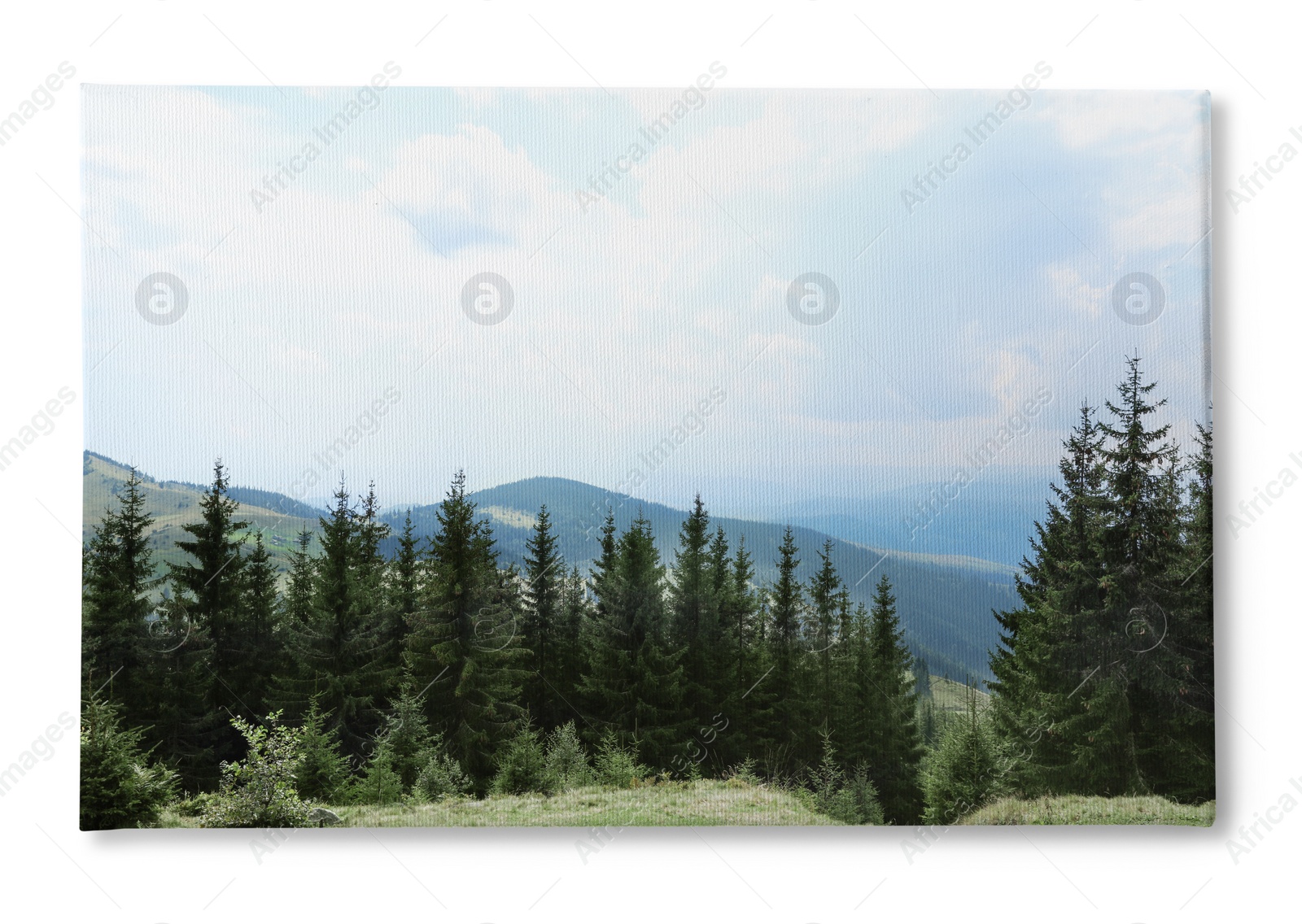 Image of Photo printed on canvas, white background. Beautiful landscape with forest and mountain slopes