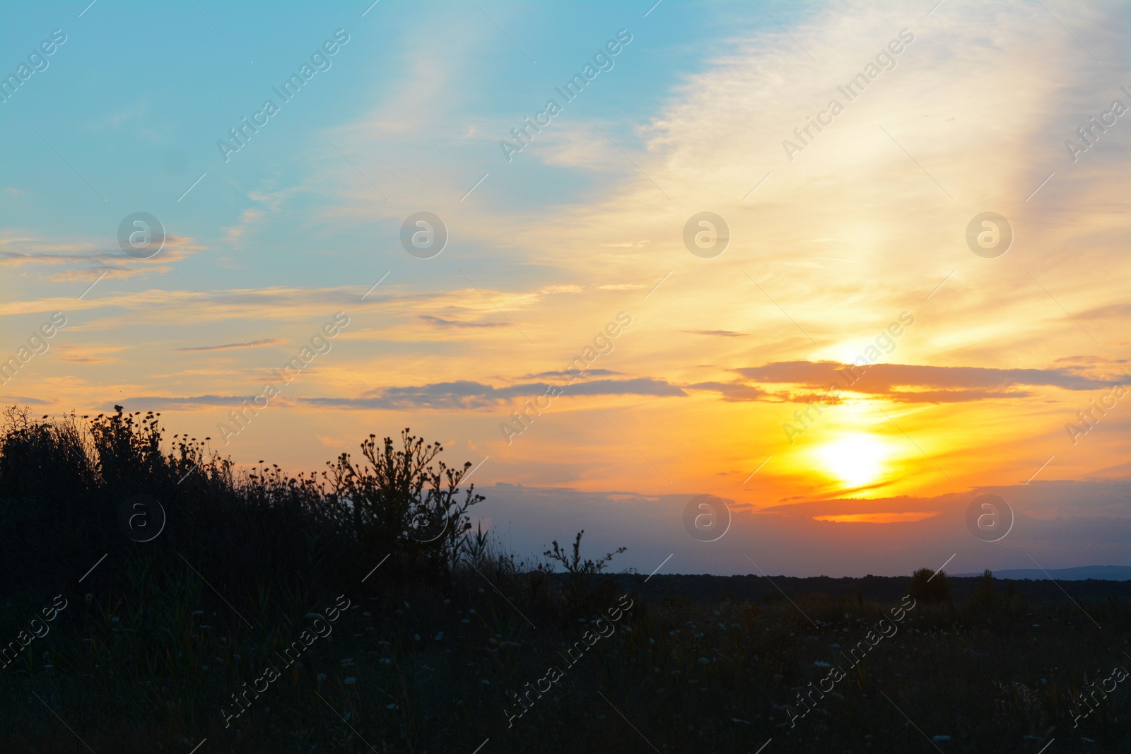 Photo of Beautiful landscape with sky lit by sunset