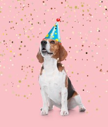 Adorable dog with party hat on pink background