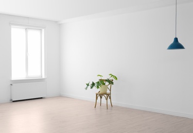 Photo of Living room interior with window and houseplant on chair