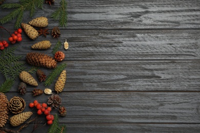 Flat lay composition with pinecones on black wooden background, space for text