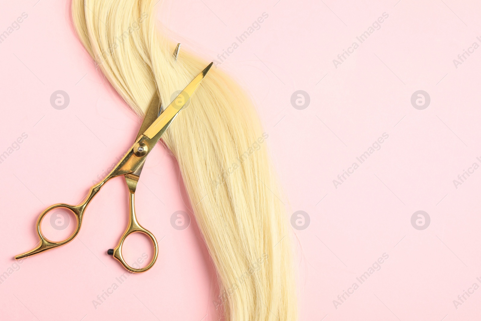 Photo of Professional hairdresser scissors with blonde hair strand on pink background, top view. Space for text