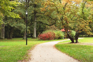 Photo of Pathway in beautiful public city park on autumn day