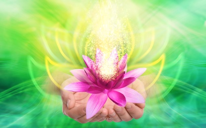 Man holding beautiful lotus flower on bright background, closeup