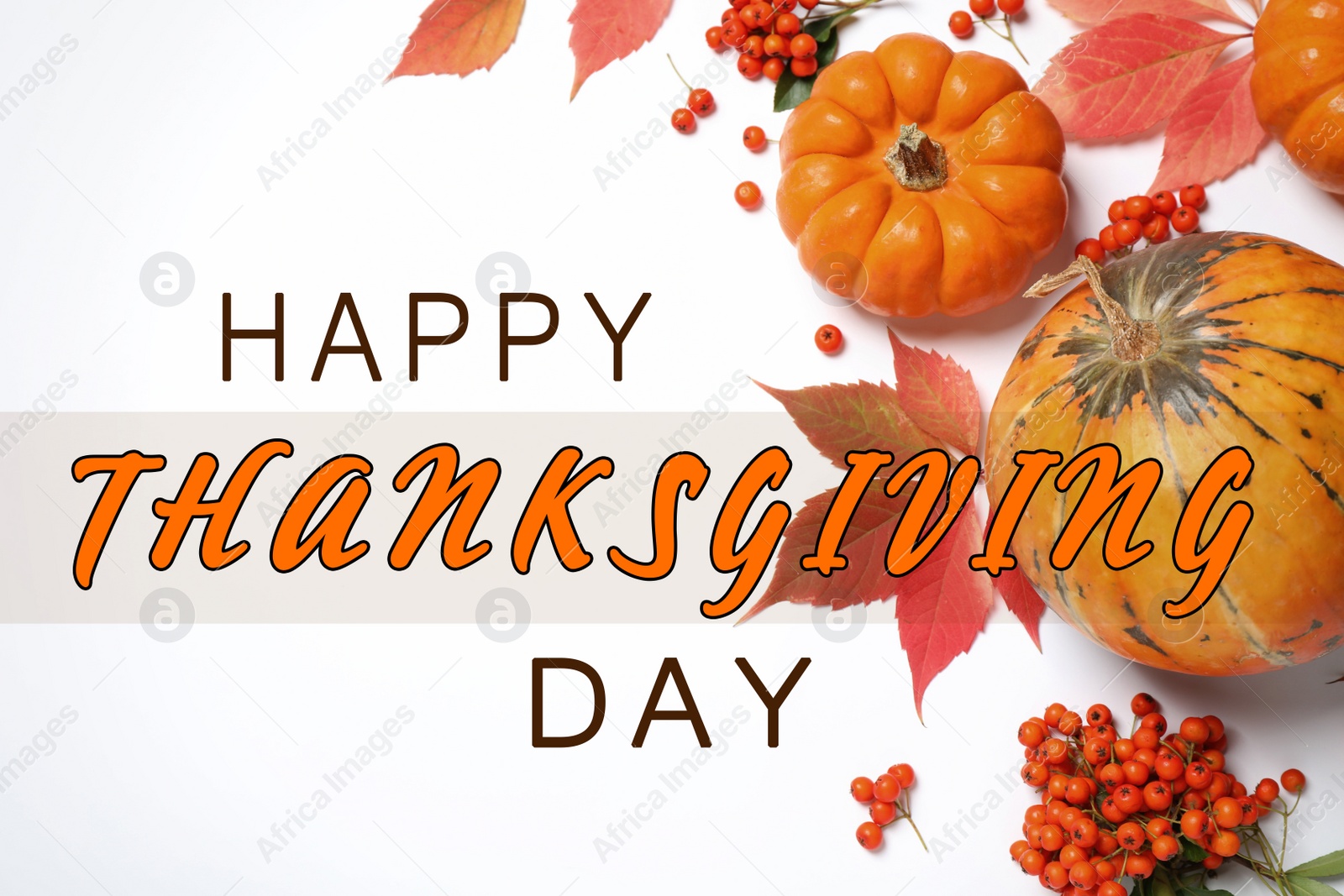 Image of Happy Thanksgiving Day card. Flat lay composition with pumpkins, berries and autumn leaves on white background