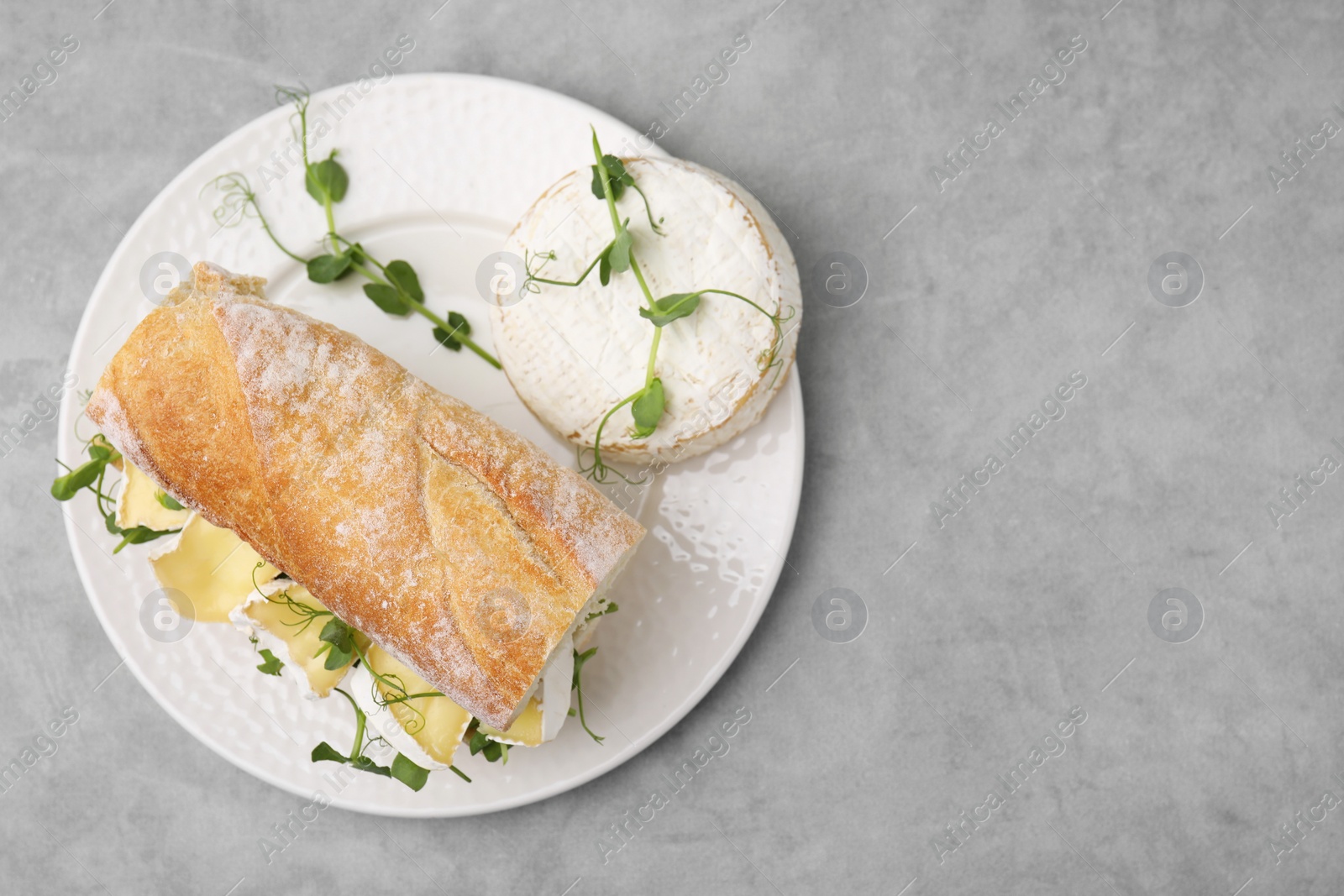 Photo of Tasty sandwich with brie cheese on light grey table, top view. Space for text