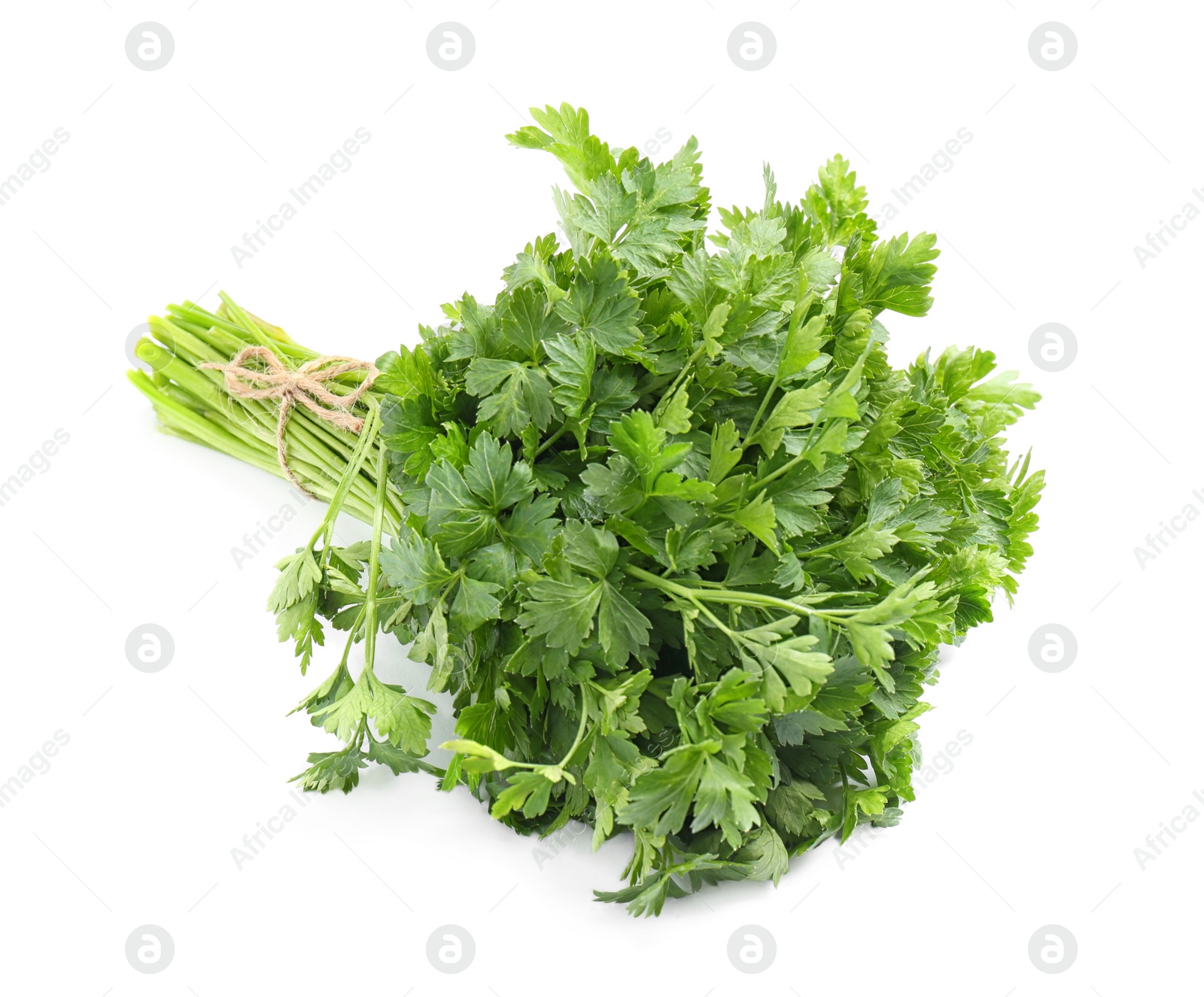 Photo of Bunch of fresh parsley isolated on white