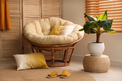 Exotic house plant with comfortable armchair in room interior