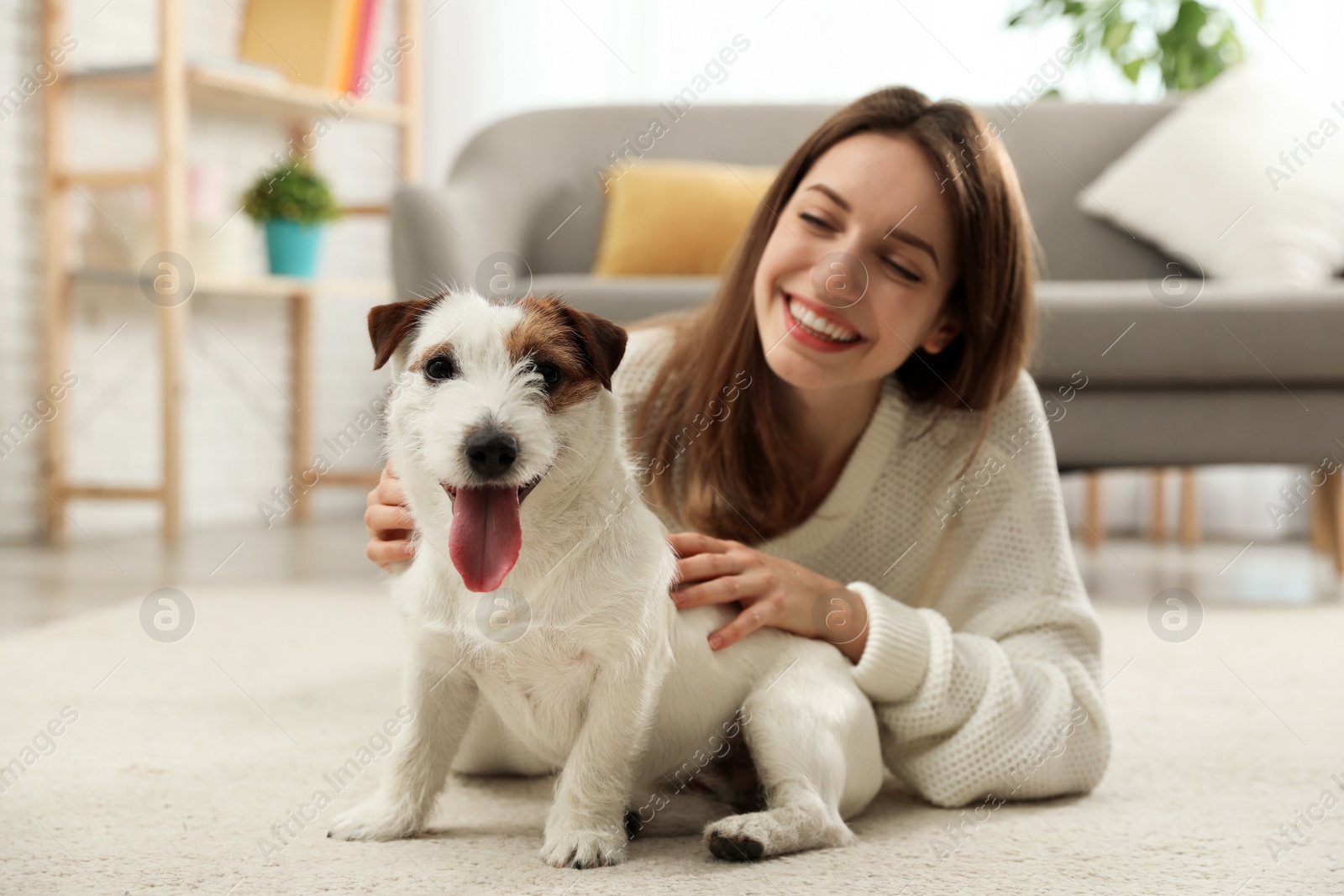 Photo of Young woman with her cute Jack Russell Terrier at home. Lovely pet