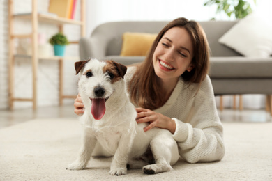 Young woman with her cute Jack Russell Terrier at home. Lovely pet